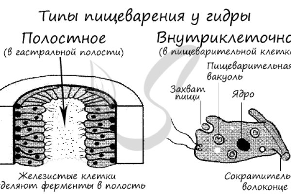 Сайт тор кракен