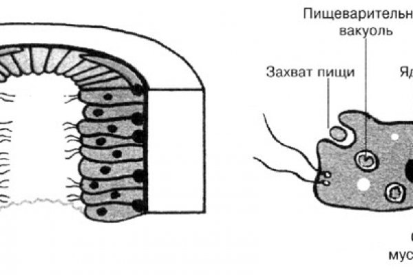 Kraken 13at магазин